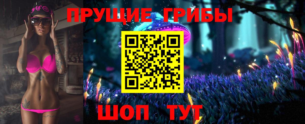 Кудрово  Псилоцибиновые грибы Cubensis  Вход с VPN 